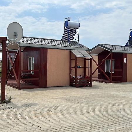 Mara Si Marea Otel Navodari Dış mekan fotoğraf